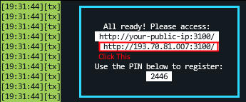 txAdmin URL